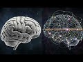 The FOUR FIELDS of AI Science