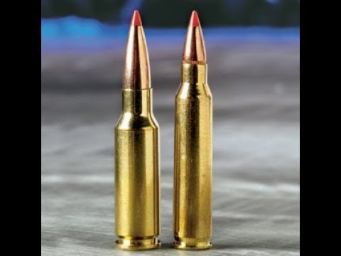 New AR Battlefield Ammo: 6.5 Grendel vs 5.56 - YouTube.