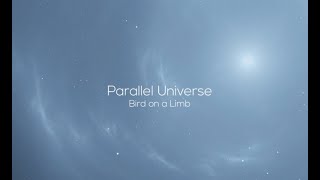 Parallel Universe Radio Edit - Visualization
