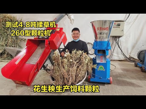 花生秧也能做颗粒饲料？好处是啥？测试4 8吨+230型，半熟化储存