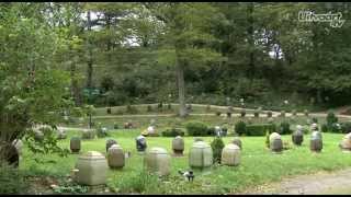 Begraafplaats en Crematorium Westerveld