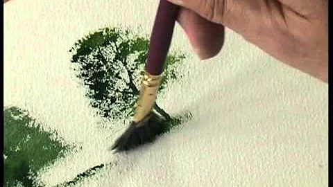 The Terry Harrison Brush Collection