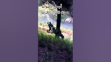 قران كريم🤲😍 بصوت جميل للشيخ ياسر الدوسري 😍👍 #المصحف #اكسبلور #راحة_نفسية #تصويري