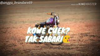 story wa terbaru~sing biso