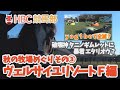 【貴重】yogibo映像が大人気！アドマイヤジャパンと対面！／育成ウマ娘ガチャで話題の”ギム爺”タニノギムレットにエタリオウも！～秋の牧場巡り③ヴェルサイユリゾートファーム