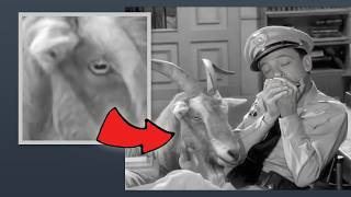 Do You Recognize These Andy Griffith Show Scenes?