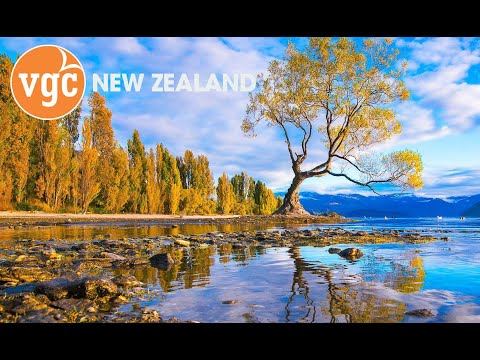 Video: Sông băng Franz Josef ở New Zealand: Toàn bộ