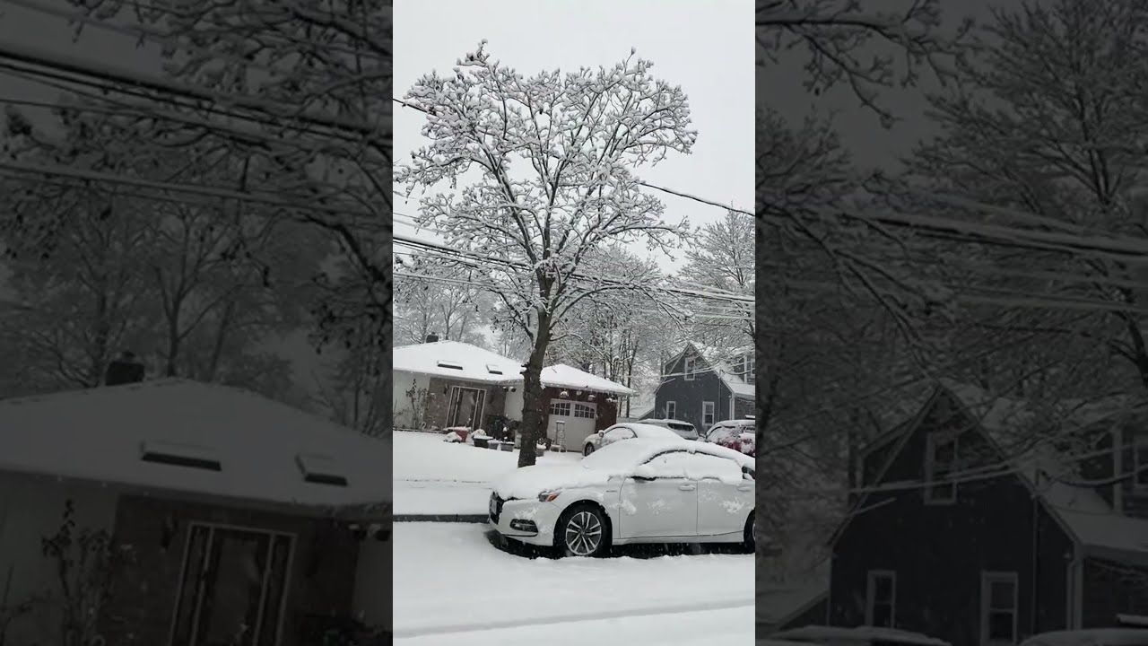 Meela decorating  is live!