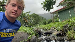Asmr On A Farm In Hawaii Pond