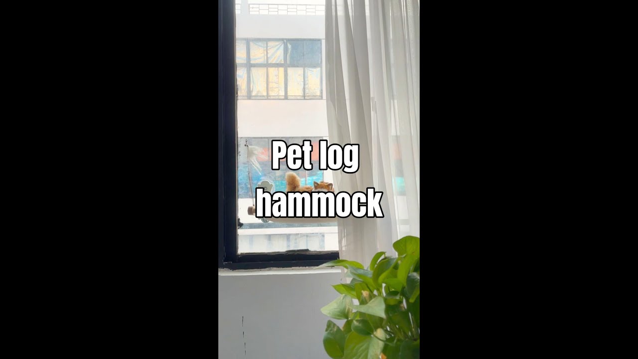 Elevate Your Cat's Comfort with Our Window Perches!