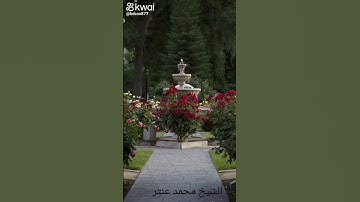 تلاوة نادرة من سورة الضحى
