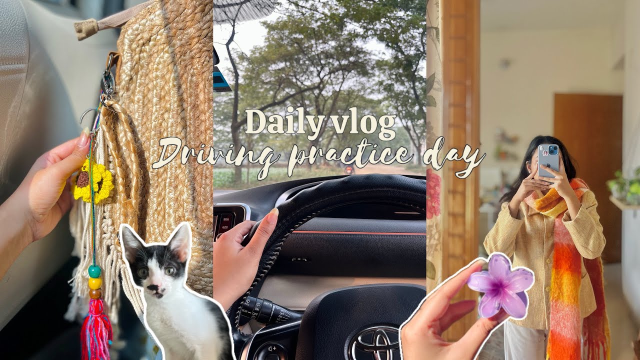 Daily Vlog : Went to MR.DIY for the first time + driving practice day