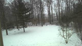 20120119.avi