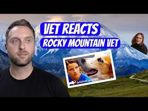 VET REACTS TO