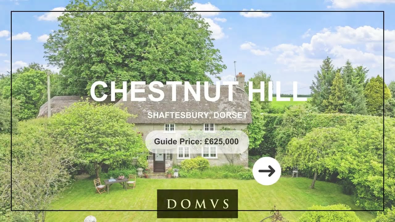 DOMVS AwardWinning Estate Agent in Dorset DOMVS