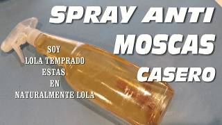 ?No mas MOSCAS en tu HOGAR con este spray ANTI MOSCAS Casero?