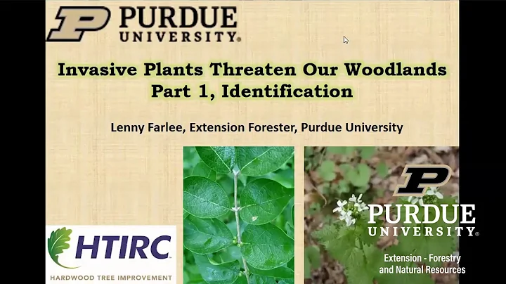 Invasive Plants Threaten Our Forests Part 1: Invas...
