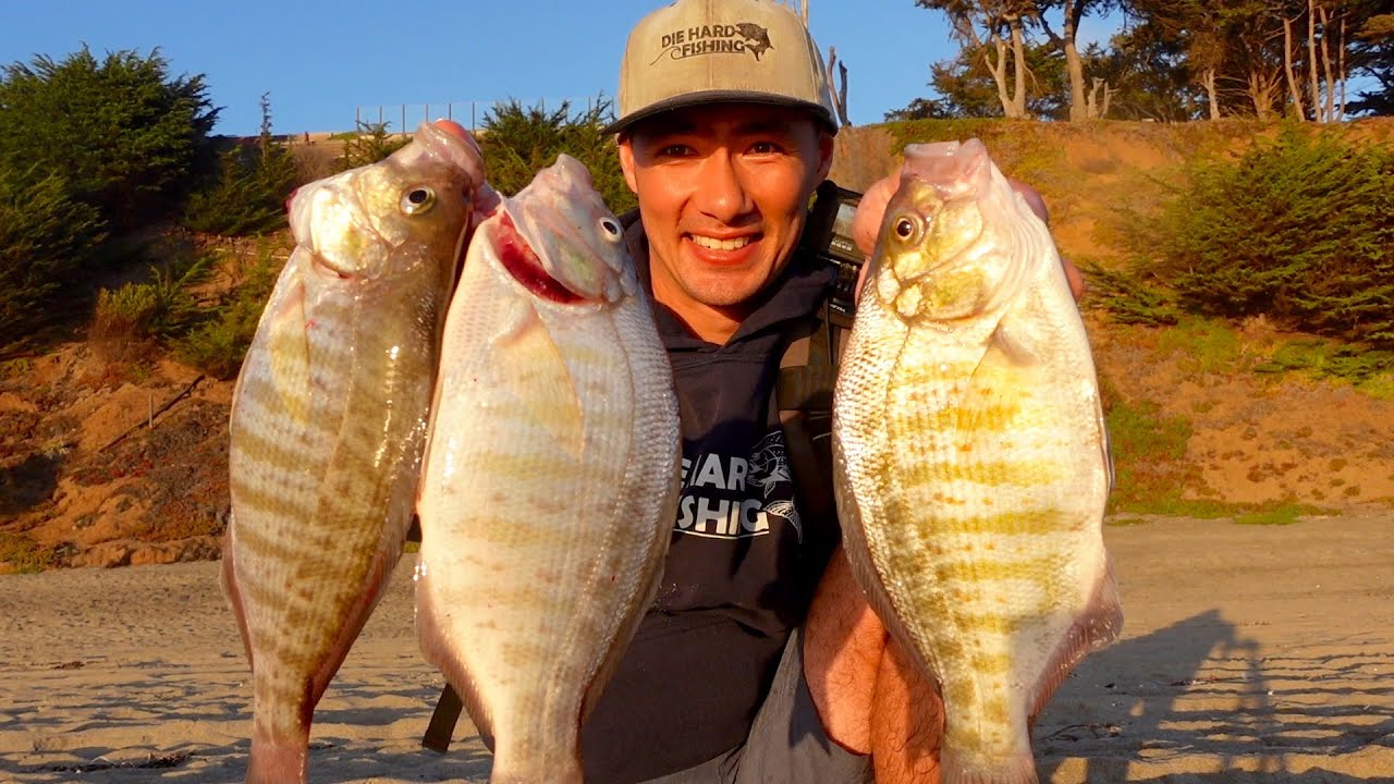 The Oldest Trick in the Surf Fishing Handbook - Carolina Rig (Surprise Catch)