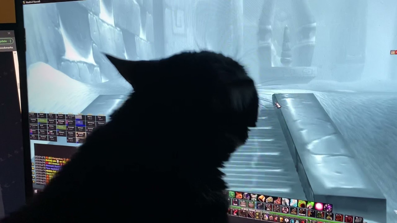 Feral Druid Single Target Rotation