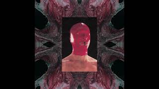 Schacke - Body Type Iod057