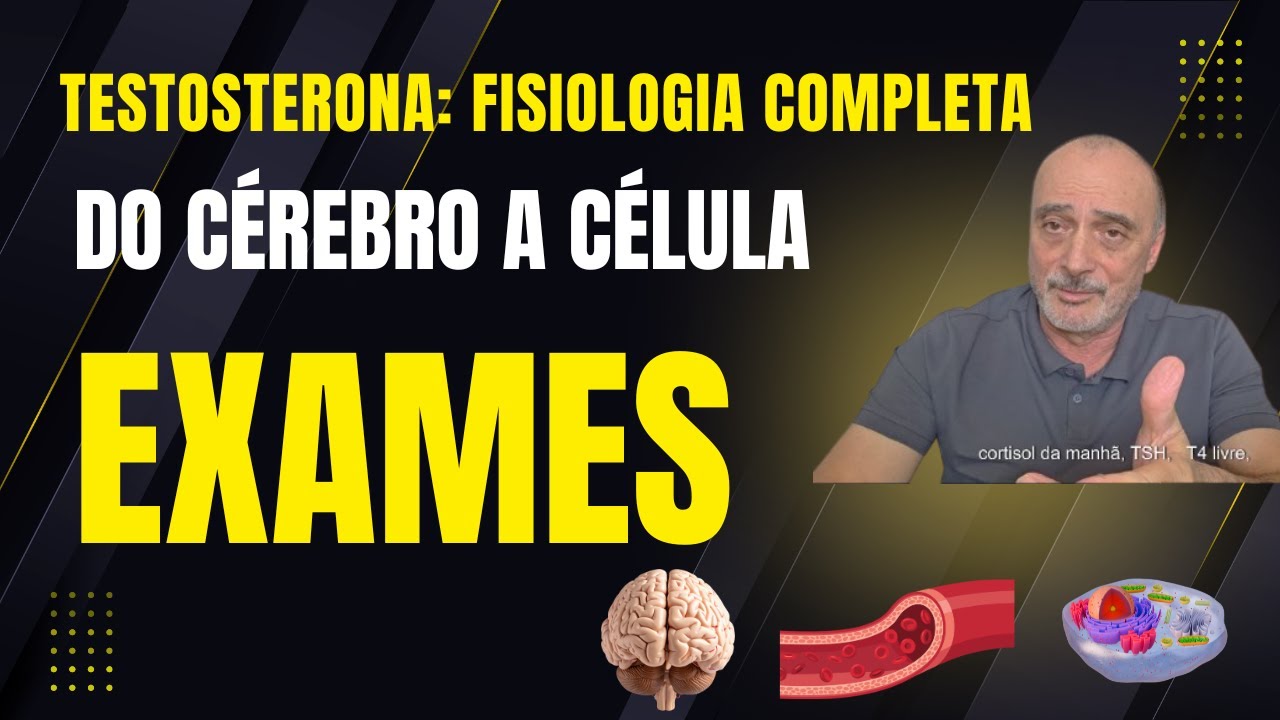 A Fisiologia Completa da Testosterona: Do Cérebro à Célula (Guia Definitivo de Exames)