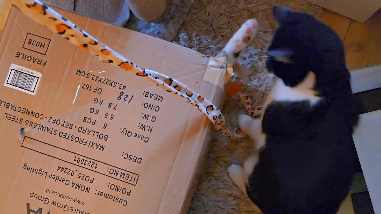 “KitKat’s Box Ambush on Oreo”