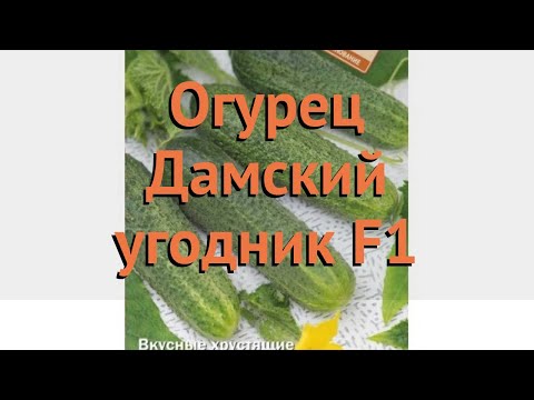 Огурец киото кинг f1 отзывы