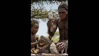 4.2 Million Years Ago The Making Of Stone Tools Early Humans Ancestors #ancestors #earlyhumans#stone