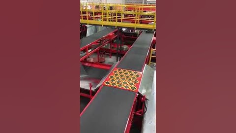 The sorting system works well in the warehousing and logistics project.