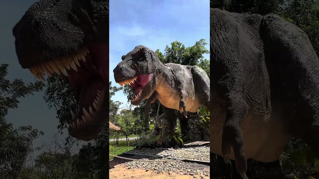 Gia đình bắp . Bánh mì đi Novaworld . Khủng Long Dino Park . Tết 2026 😄😄😄🌽🥖