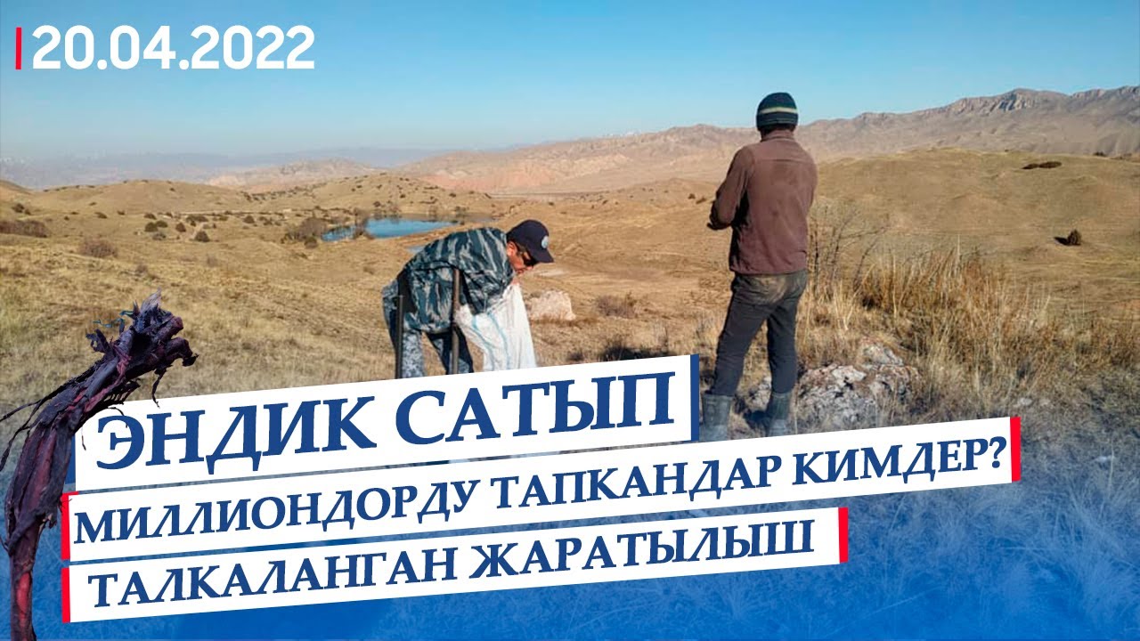 Эндик сатып миллиондорду тапкандар кимдер? | Талкаланган жаратылыш