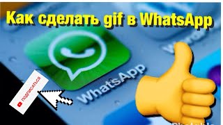 Как сделать gif в WhatsApp|StasPereluka Как сделать gif в WhatsApp|StasPereluka