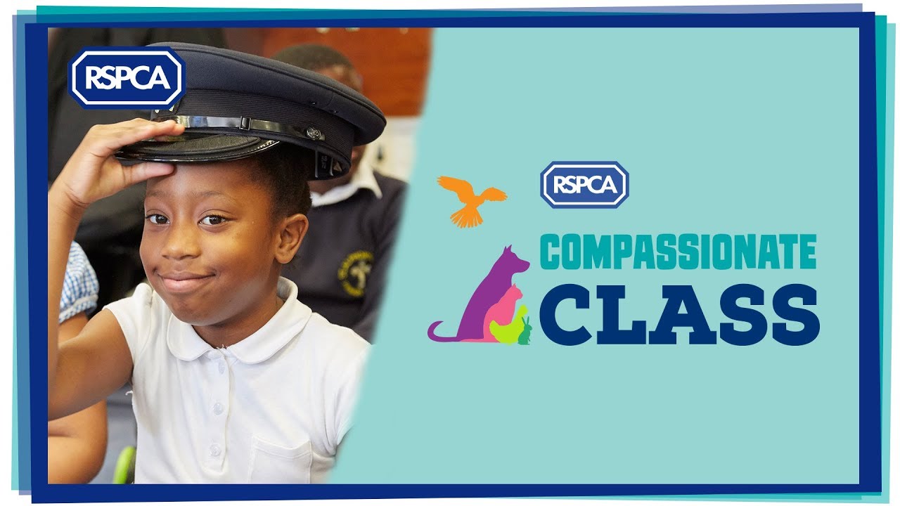 cruelty free kiko RSPCA Compassionate Class winners!
