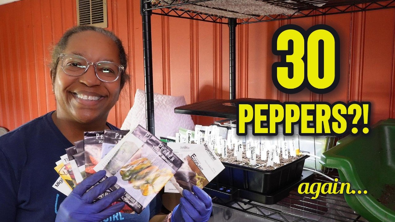 30 Pepper Varieties + 2 Eggplants 🌶️ What We’re Growing This Season (Zone 6b)