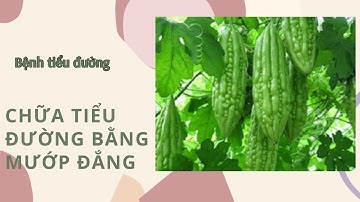 tác dụng tuyệt vời của mướp đắng với người bệnh tiểu đường
