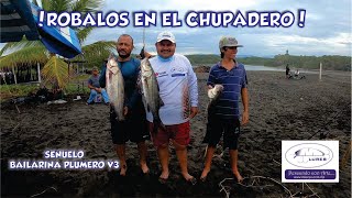 ROBALOS EN EL CHUPADERO CON BAILARINA PLUMERO V3 DE MLURES