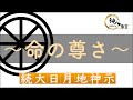 【続大日月地神示】～命の尊さ～※書籍未収録｜今を生きる”地球人”へのチャネリングメッセージ｜神人靈媒日記 2025.3.7