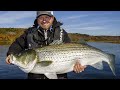Giant Striped Bass in New Brunswick | Fish'n Canada