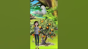 How to Prevent and Control The Diseases and Pests of Mexican Lime Trees. #treedoctor #treediseases