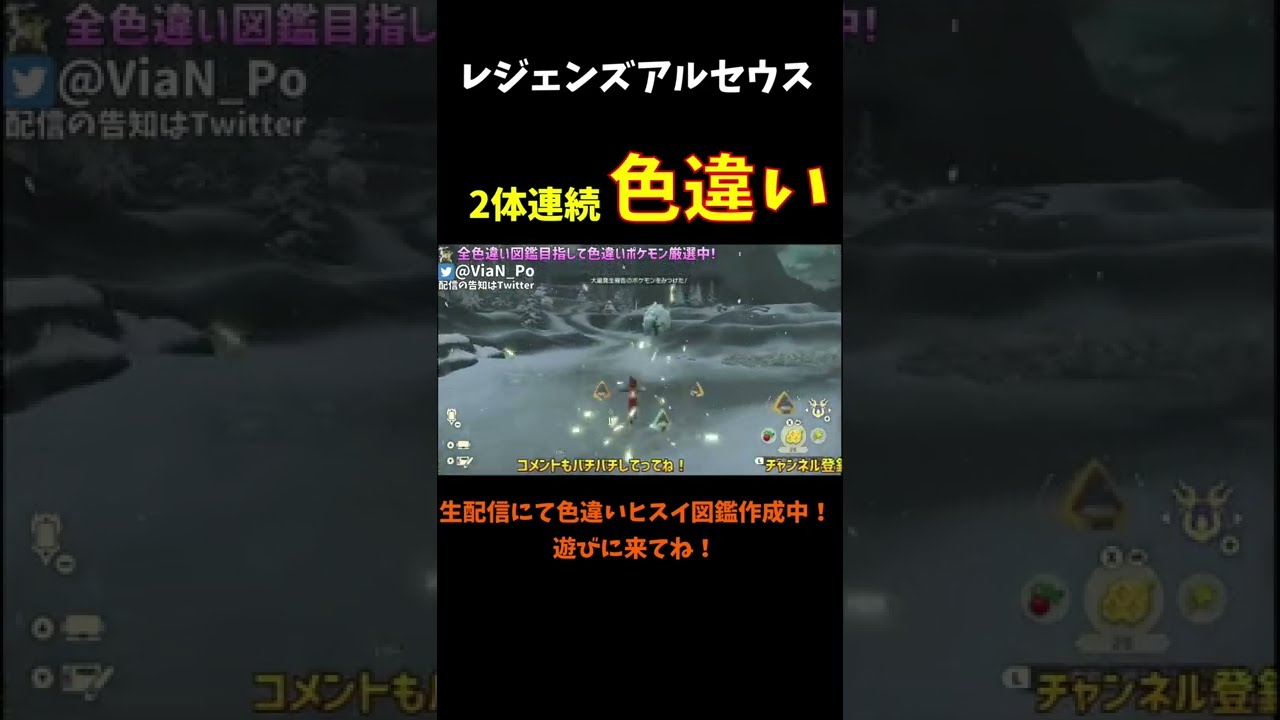 レジェンズアルセウス 色違いユキワラシを2体連続で出す男 ポケモン Youtube