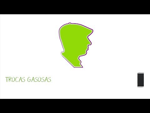 Vídeo: Quais são os meios de troca gasosa nas plantas?