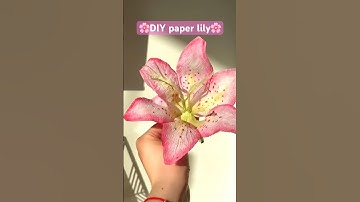 DIY paper lily 🌸💕