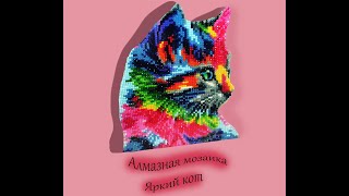 МОЗАИКА - ЯРКИЙ КОТ| Как сделать кота в МОЗАИКЕ|CAT MOSAIC