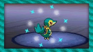 Live Shiny Snivy After Only 557 Soft Resets! (Pokémon White 2)