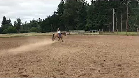 Elyse and cooper
