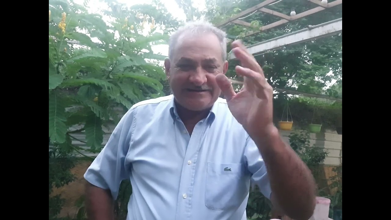 شجرة الاكاسيا الافريقية الشمعدان تعتبر من اجمل الاشجار المزهرة وسهلة العناية⚘️ جنتي حديقتي⚘️