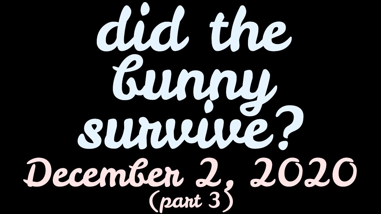 F1NN5TER 2020-12-02 Stream (part 3): did the bunny survive? - YouTube