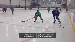 Final championship game- Blues vs Sharks