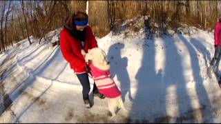 FOHA Buddies - 1/8/2015