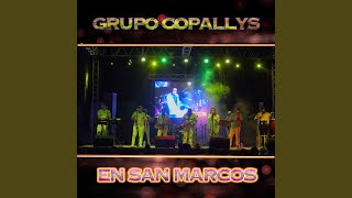 Mar y Cielo / Te Perdono/ Farsante / Paz en Este Amor (En Vivo)